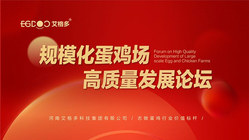 艾格多集團-規?；半u場高質量發展論壇圓 滿成功