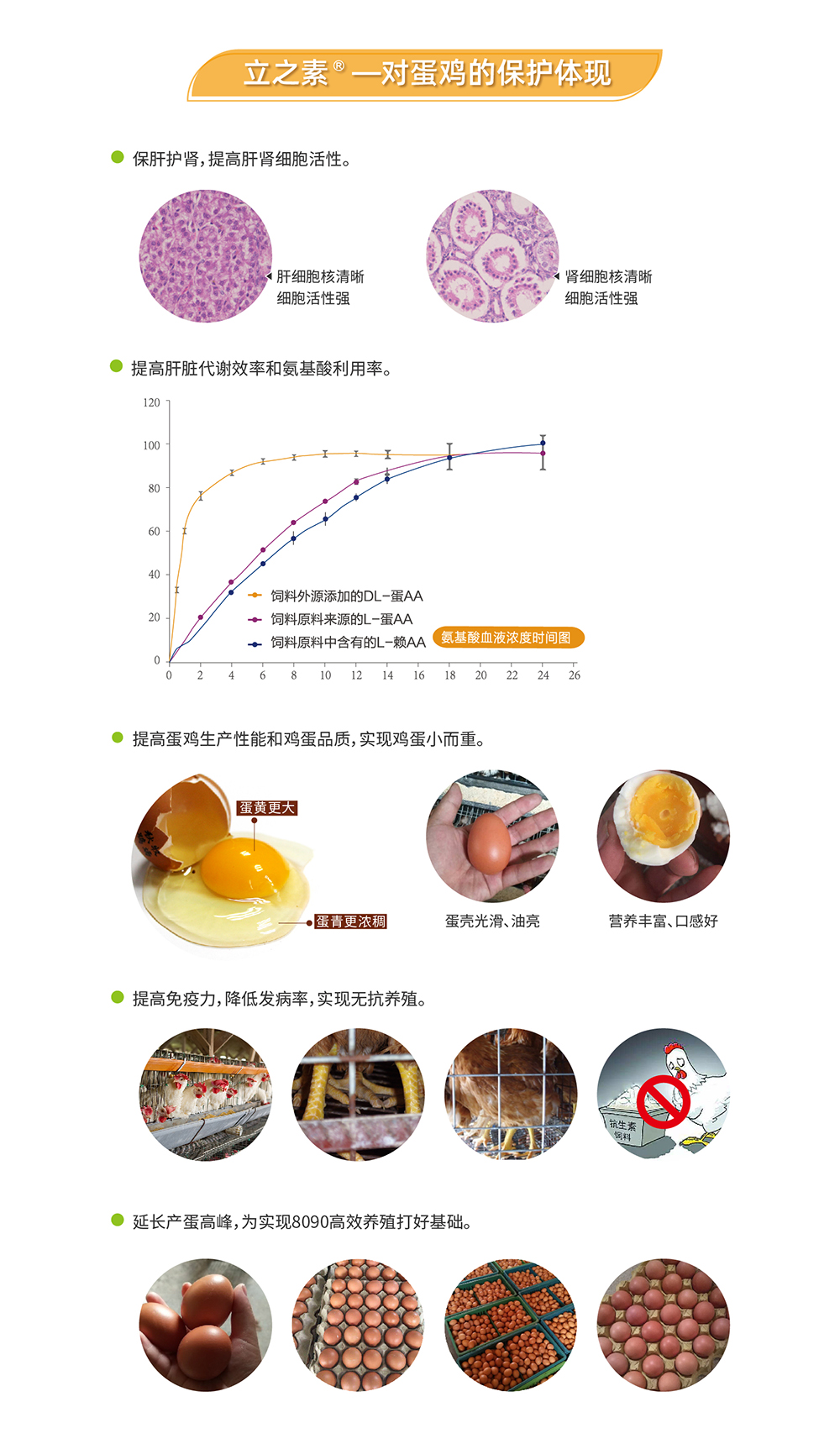 20220606 EA系列_產(chǎn)品詳情頁_畫板 3